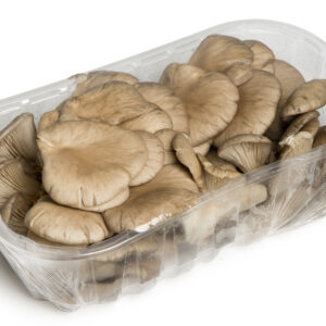Funghi Pleurotus 500 gr