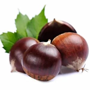 Castagne/ Marroni