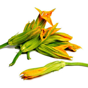 Fiori Di Zucca 60 gr
