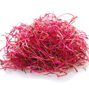 Germogli Bietola Rossa