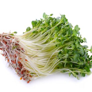 Germogli Crescione
