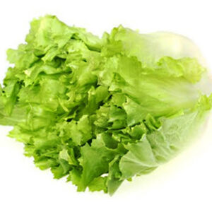Insalata Scarola