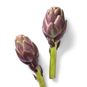 Carciofi Violetto