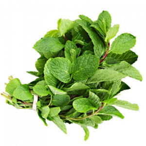 Menta
