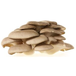 Funghi Pleurotus O Sfiandrine