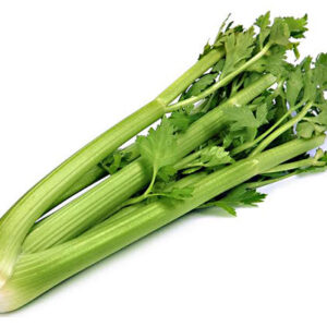 Sedano