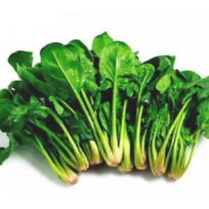 Spinaci Freschi