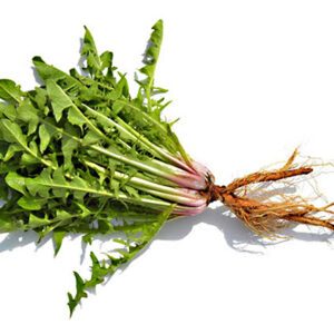 Tarassaco busta 500 gr
