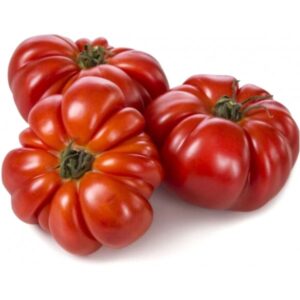 Pomodoro Fiorentino Riccio Rosso